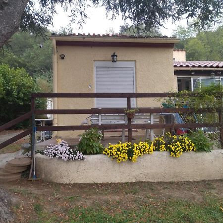 Reynès F1 Chambre Et Cuisine מראה חיצוני תמונה