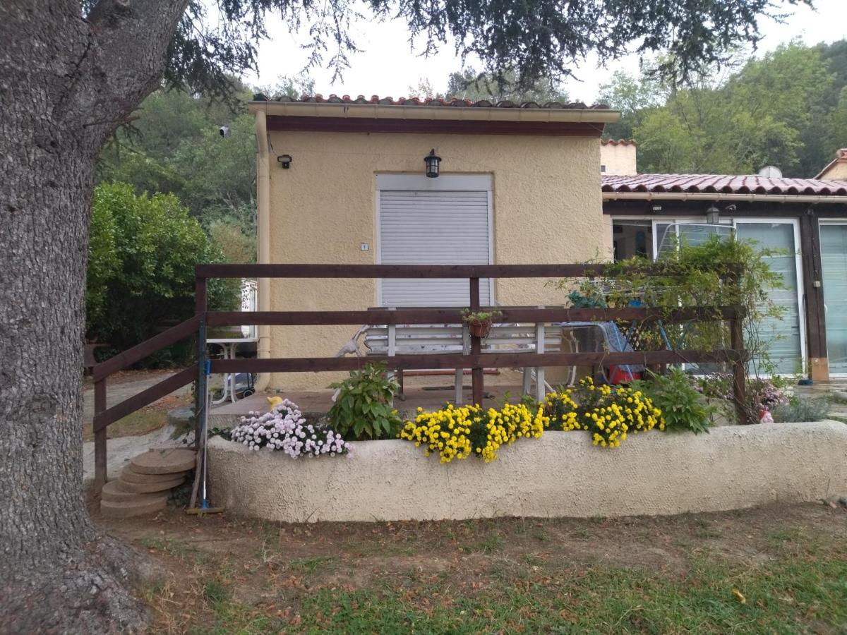 Reynès F1 Chambre Et Cuisine מראה חיצוני תמונה